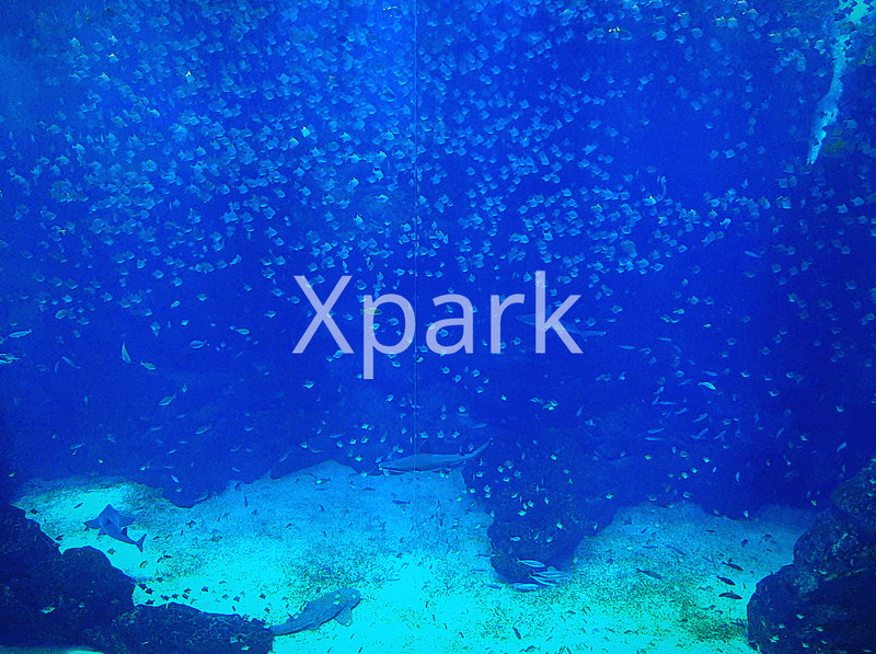 Xpark水族館
